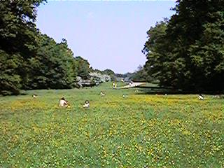 AFpark02.jpg (21601 Byte)