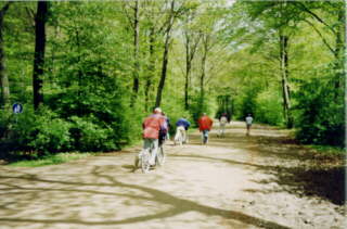 roller2.jpg (16259 Byte)